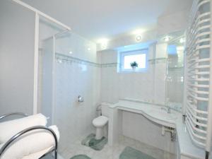 Un baño con lavabo, inodoro y ventana. en Slnecny Dvor, en Veľká Lomnica