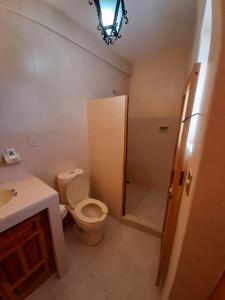 a bathroom with a toilet and a sink and a shower at Hotel Posada San Javier in Taxco de Alarcón