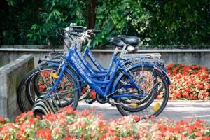 ein blaues Fahrrad, das in einem Blumengarten parkt in der Unterkunft Novo Hotel Rossi in Verona