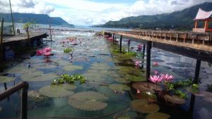 a body of water with lily pads and a pier at Liberta Homestay in Tuktuk Siadong
