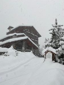 冬天的Hotel Walser Courmayeur