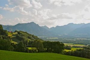 une vue sur un champ verdoyant avec des montagnes en arrière-plan dans l'établissement Landhaus Binder, à Samerberg