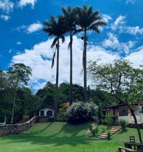 podwórko z palmami i domem w obiekcie Pousada Cantinho do Mundo w mieście Brumadinho