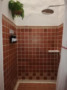 baño con ducha de azulejos marrones con planta en Hotel Casa Claustro De Zapatoca en Zapatoca