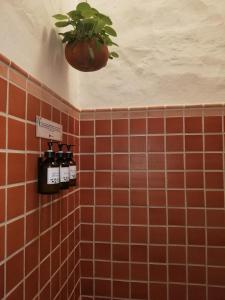 un baño con azulejos de color naranja y una planta en el techo en Hotel Casa Claustro De Zapatoca, en Zapatoca