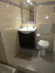 リスボンにあるLisbon City Centre Apartmentのバスルーム(トイレ、洗面台、鏡付)