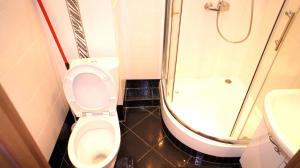 La salle de bains est pourvue de toilettes, d'une douche et d'un lavabo. dans l'établissement Apartment Perevedenovskiy, à Moscou