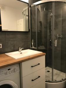 a bathroom with a sink and a shower at Mieszkanie na Ogrodach in Bydgoszcz