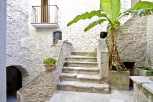 a stairway with a palm tree next to a building at Ospitalità Don Carlo in Tortorella