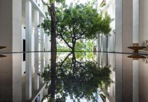 a reflection of a tree in a street at Raya Heritage - SHA Plus in Chiang Mai