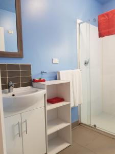 Clunes的住宿－克倫斯汽車旅館，浴室配有白色水槽和淋浴。