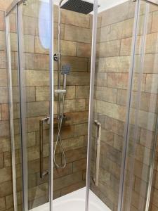 W łazience znajduje się prysznic ze szklanymi drzwiami. w obiekcie Lake Apartment w Hévízie