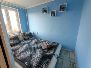 Cette chambre bleue comprend un lit et une fenêtre. dans l'établissement Perfekt place, à Oświęcim