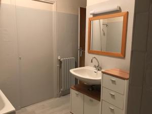 y baño con lavabo y espejo. en Appartement 4 personnes avec Wifi Centre La Bourboule, en La Bourboule
