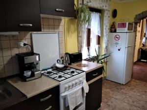 Kuchyň nebo kuchyňský kout v ubytování Mözsi Apartman Tolna