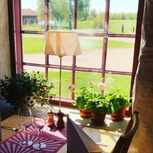 Zahrada ubytování Sahlströmsgården