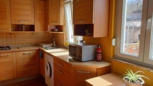 Kuchyň nebo kuchyňský kout v ubytování Apartments Roses