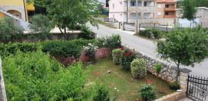 Zahrada ubytování Apartments Roses