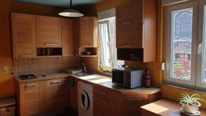 Kuchyň nebo kuchyňský kout v ubytování Apartments Roses