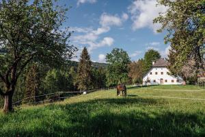a horse grazing in a field in front of a house at BAUERNHAUS DÖRFL IN DER STRASS in Reindlmühl