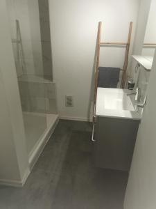 La salle de bains est pourvue d'un lavabo et d'une douche. dans l'établissement La Charmille, charmant 2P proche tram, à Strasbourg