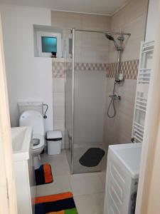 a bathroom with a shower and a toilet and a sink at Casa JOY in Râşnov