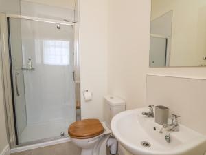 Un baño con inodoro, lavabo y ducha. en The Old Carriage Court, en Kidwelly 36 fotos más