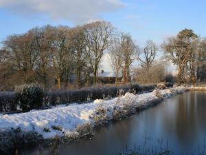 un río cubierto de nieve con árboles en el fondo en Ballylagan Organic Farm, en Straid