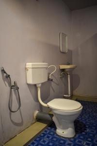 a bathroom with a toilet and a sink at Palolem Cottages in Palolem