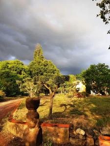 une statue dans un champ avec un arbre et une route dans l'établissement Montèze Paradis, à Saint-Christol-lès-Alès