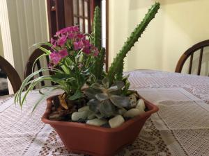 Foto da galeria de Sítio Flora Rei em Holambra