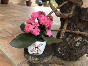 Um jardim em Sítio Flora Rei