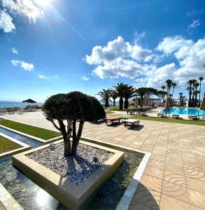 a tree sitting in a fountain next to the beach at Residence Ain Meriem in Bizerte