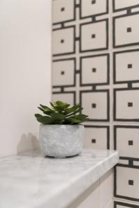 a potted plant sitting on a counter in front of a wall at Golfo dei Poeti Retreat in La Spezia