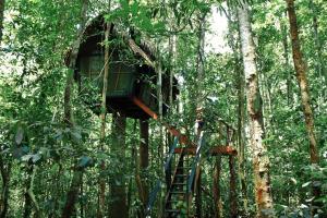 a tree house in the middle of the forest at Reserva Natural Tanimboca in Leticia