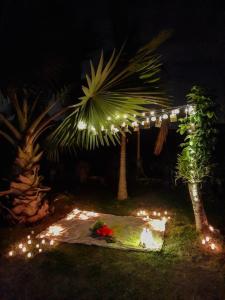 Um jardim em Sítio Flora Rei