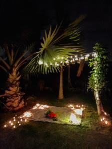 a garden with lights and palm trees at night at Sítio Flora Rei in Holambra