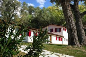 安科納的住宿－Agriturismo Ca' Poldo，一座红色百叶窗的房子和一棵树