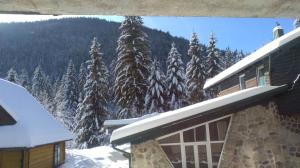 a house with snow covered trees and a mountain at Hotel Chateau in Bukovel