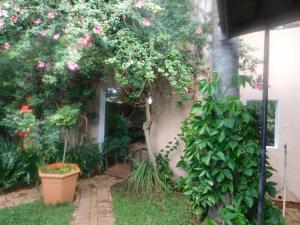 un jardín con rosas rosas que crecen en el lateral de un edificio en Fouriestreet 199 Bed and Breakfast en Mokopane