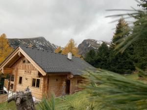 Fotografie z fotogalerie ubytování Bogi Hütte -Falkert v destinaci Patergassen + 15 fotografií