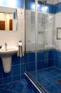 a bathroom with a shower, sink, and mirror at Hotel Bouček in Kroměříž