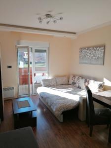 a bedroom with a bed and a couch in it at Centar! Lara Zlatibor in Zlatibor