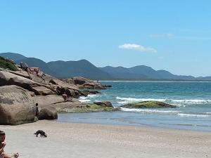 een man op een strand met een hond op het strand bij Olhar da Barra Hospedagem - Residencial Isavalenzo in Florianópolis