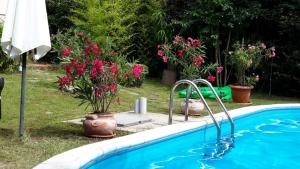 Swimmingpoolen hos eller tæt på Sunny villa Boutique Varna