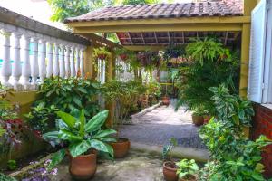 a garden with many plants and a white fence at Pousada Do Suiá in Arraial do Cabo