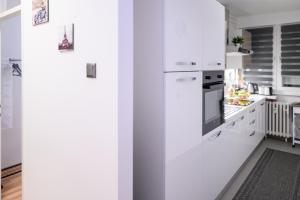 Kuchyňa alebo kuchynka v ubytovaní Lumos Apartment