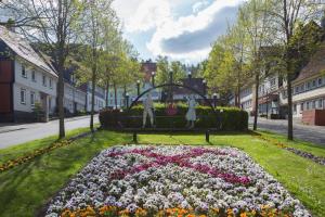 Fotografie z fotogalerie ubytování Historisches Hotel Rathaus v destinaci Lautenthal