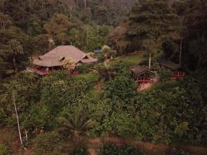an aerial view of a house in a forest at Rafiki Safari Lodge in Savegre