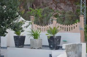 three potted plants sitting on top of a white fence at Aloche Apartments in Murree